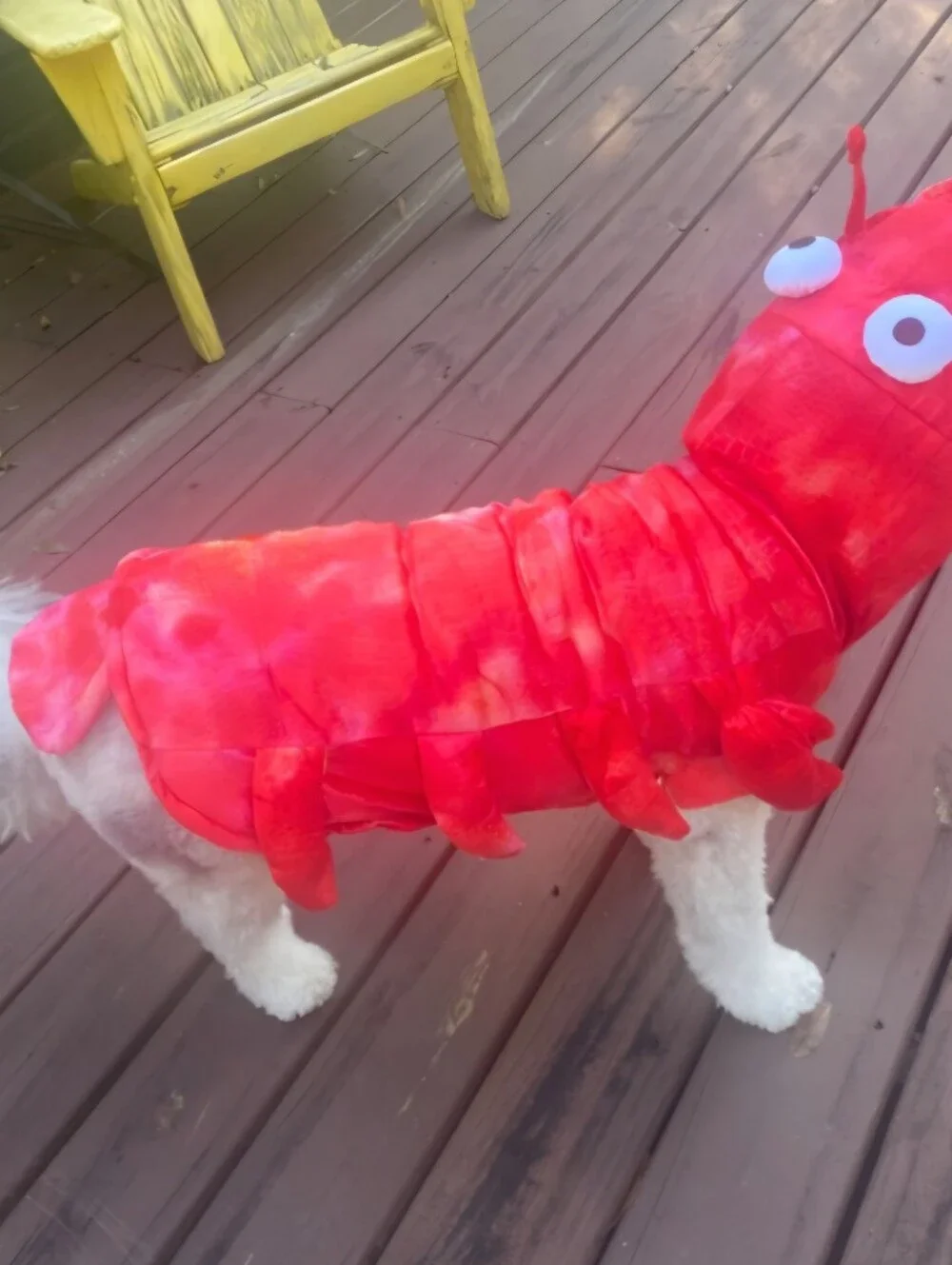 Cawaii Red Lobster Halloween Dog Costume Size 20 ( Medium Sz Dog) 20